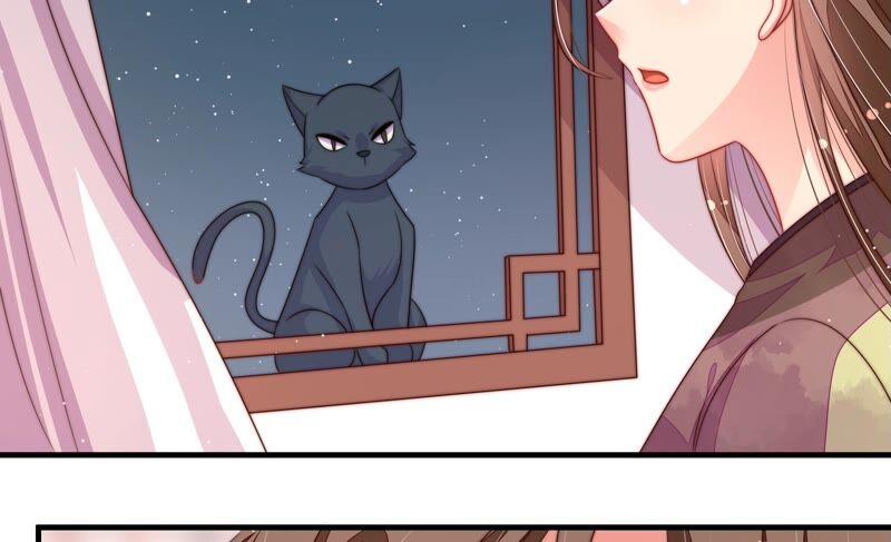 第198话 黑猫7