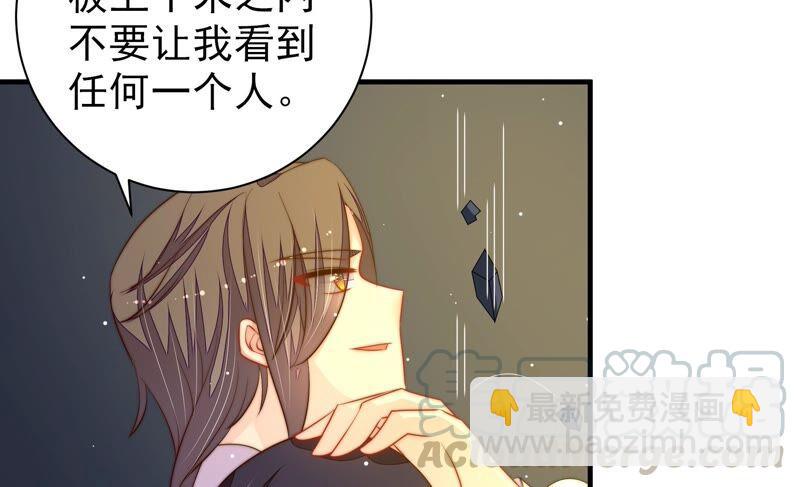 第213话 赌注64