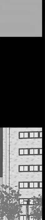 19206