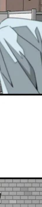 20258