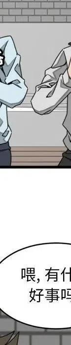 20263