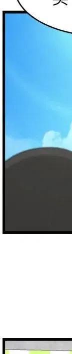 20295