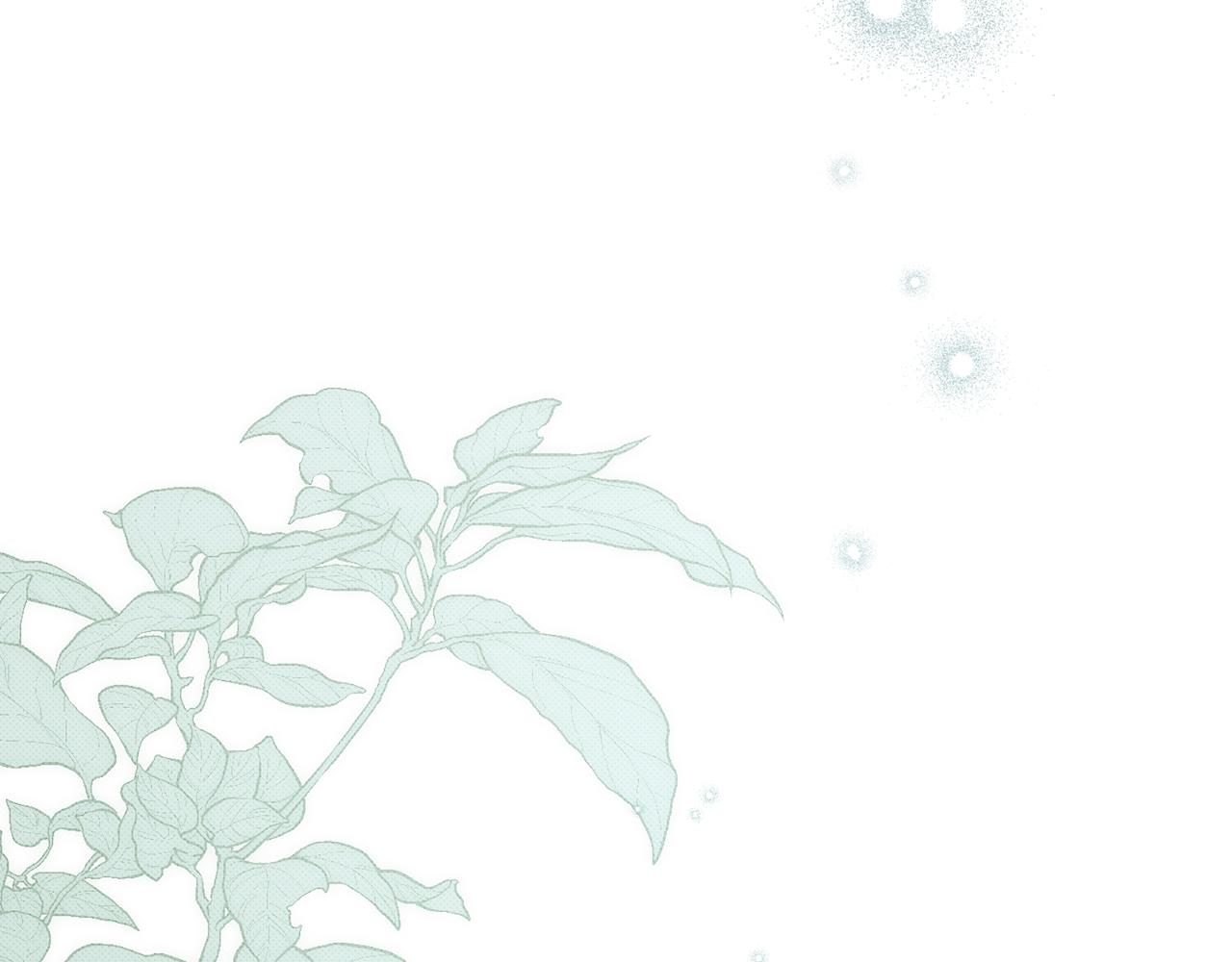 第41话 哥哥特别照顾我169