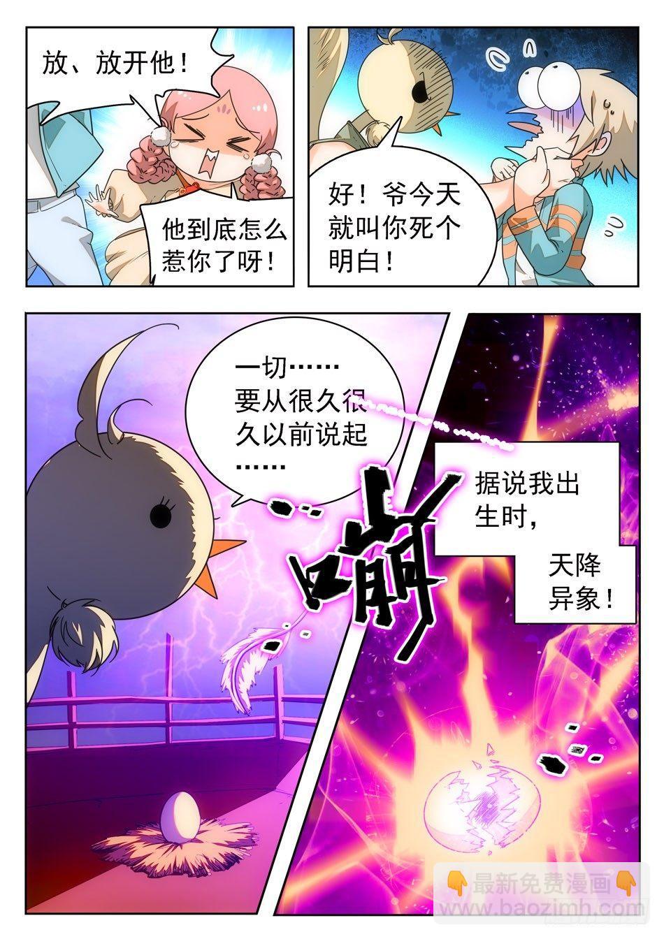 09 不平凡的鸡4