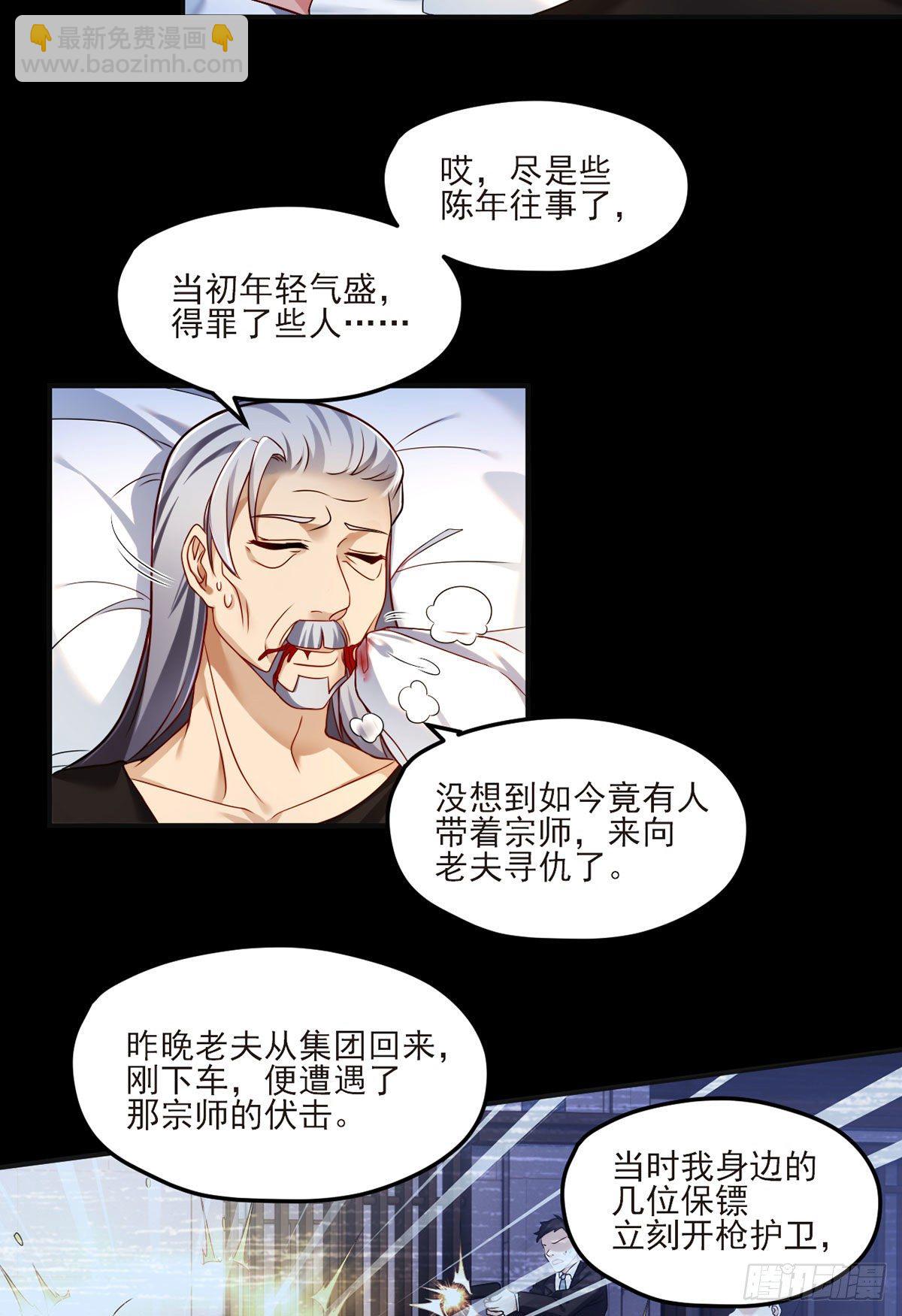 038.叶家惹上了大麻烦？18