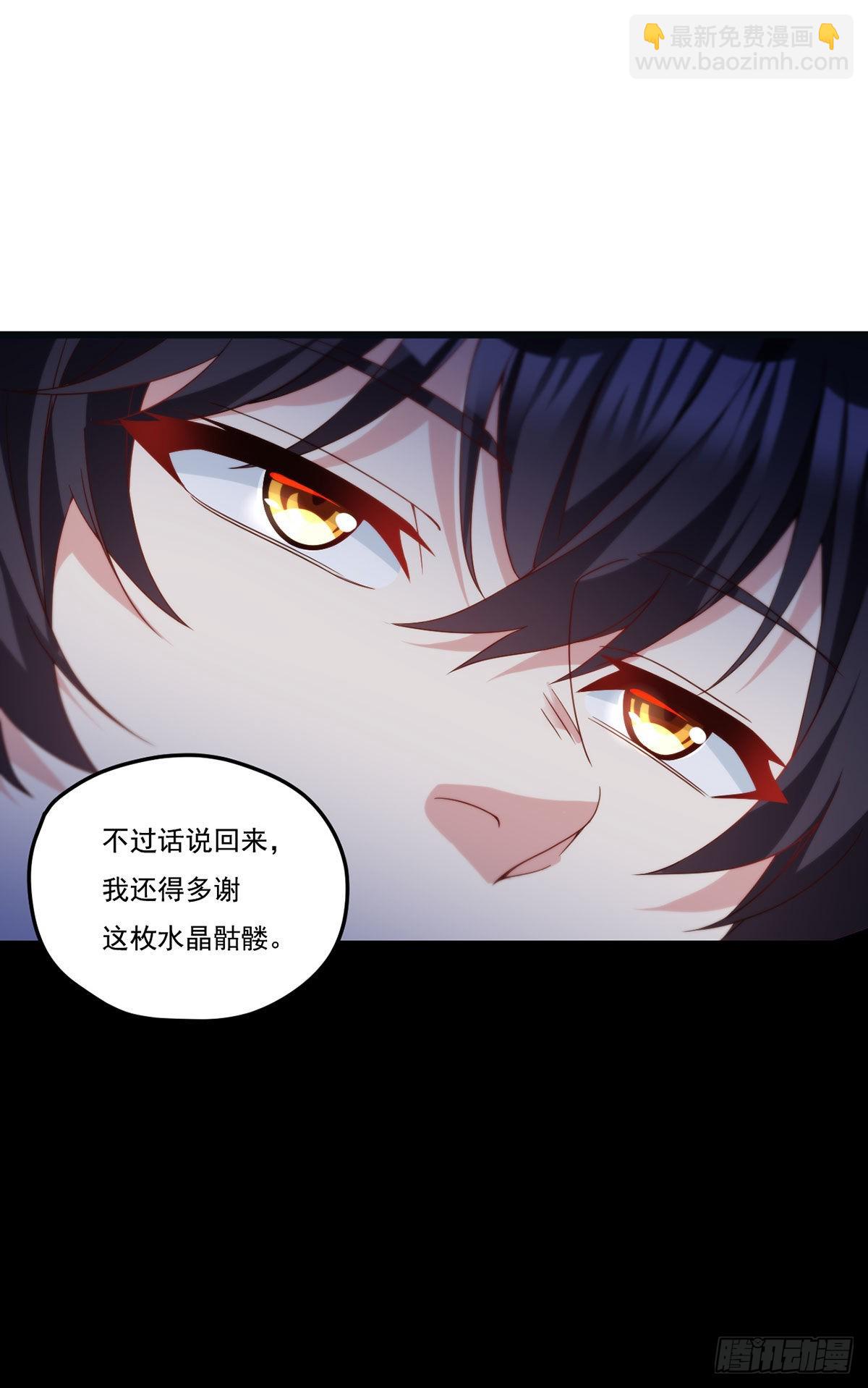163.狼王追击杀子凶手27