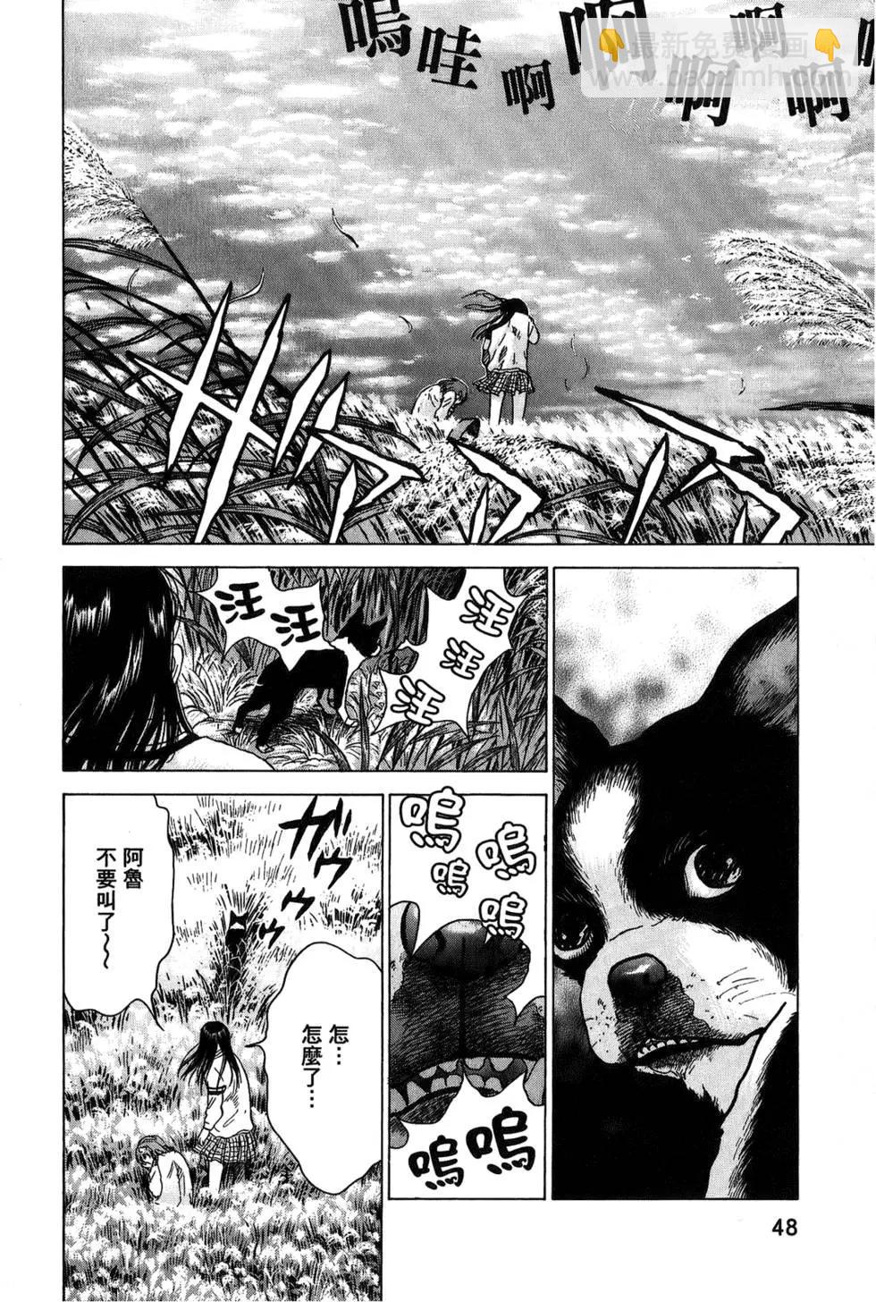 第03卷51