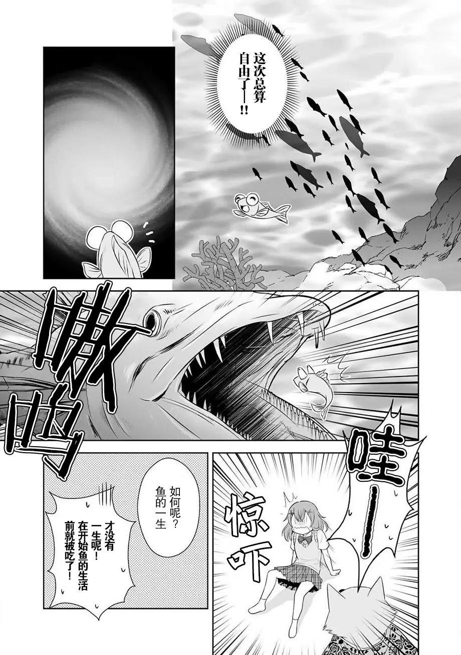 第34回12