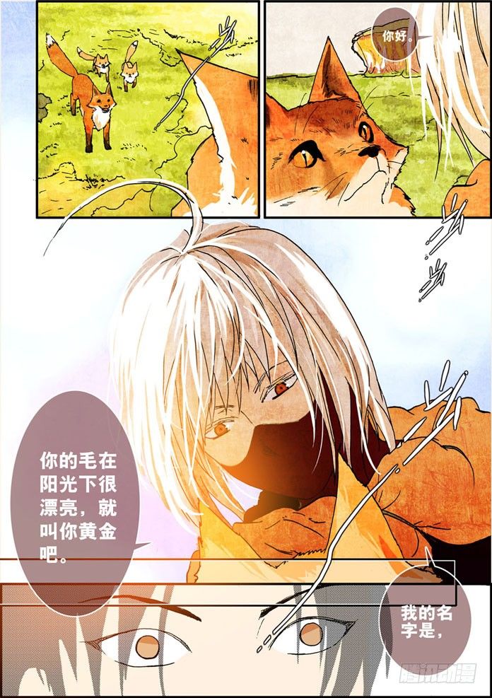 010狐狸精9