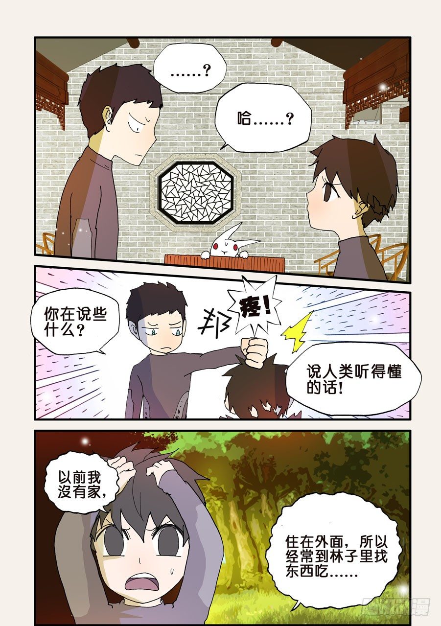117兔子11