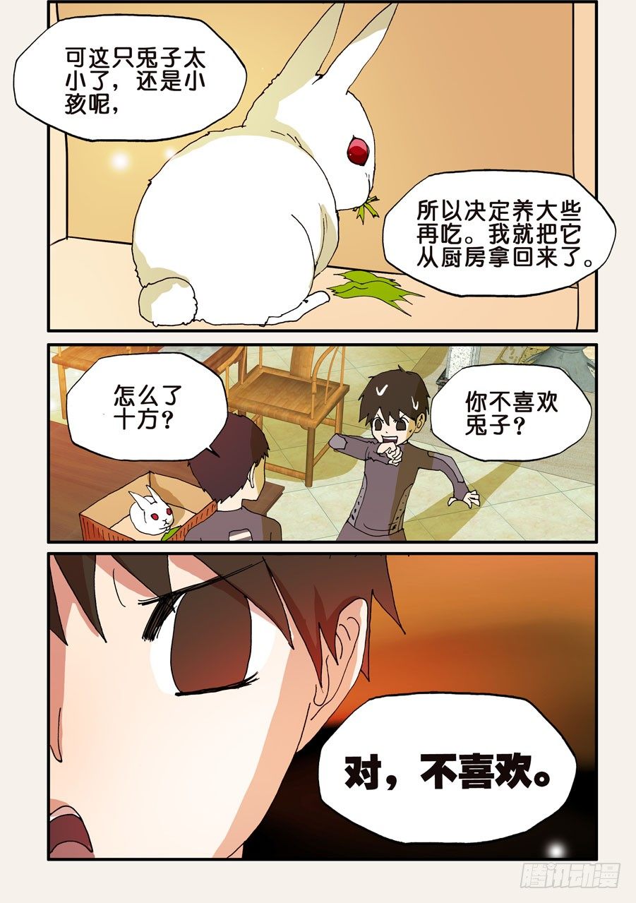117兔子9