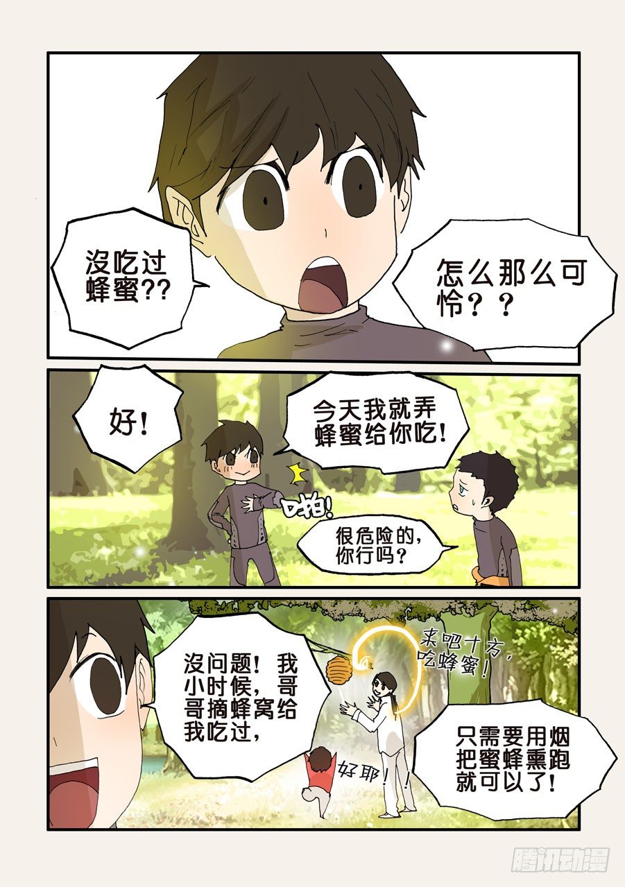 119蜂窝6