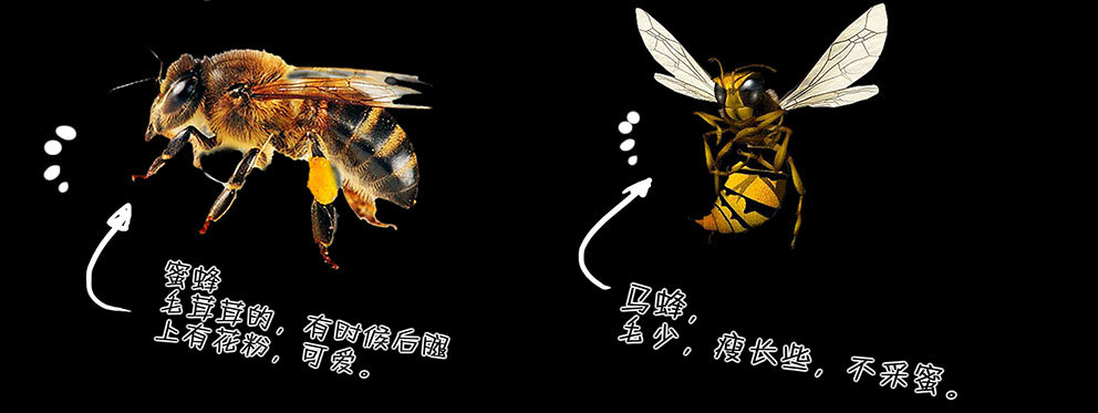 120老师12