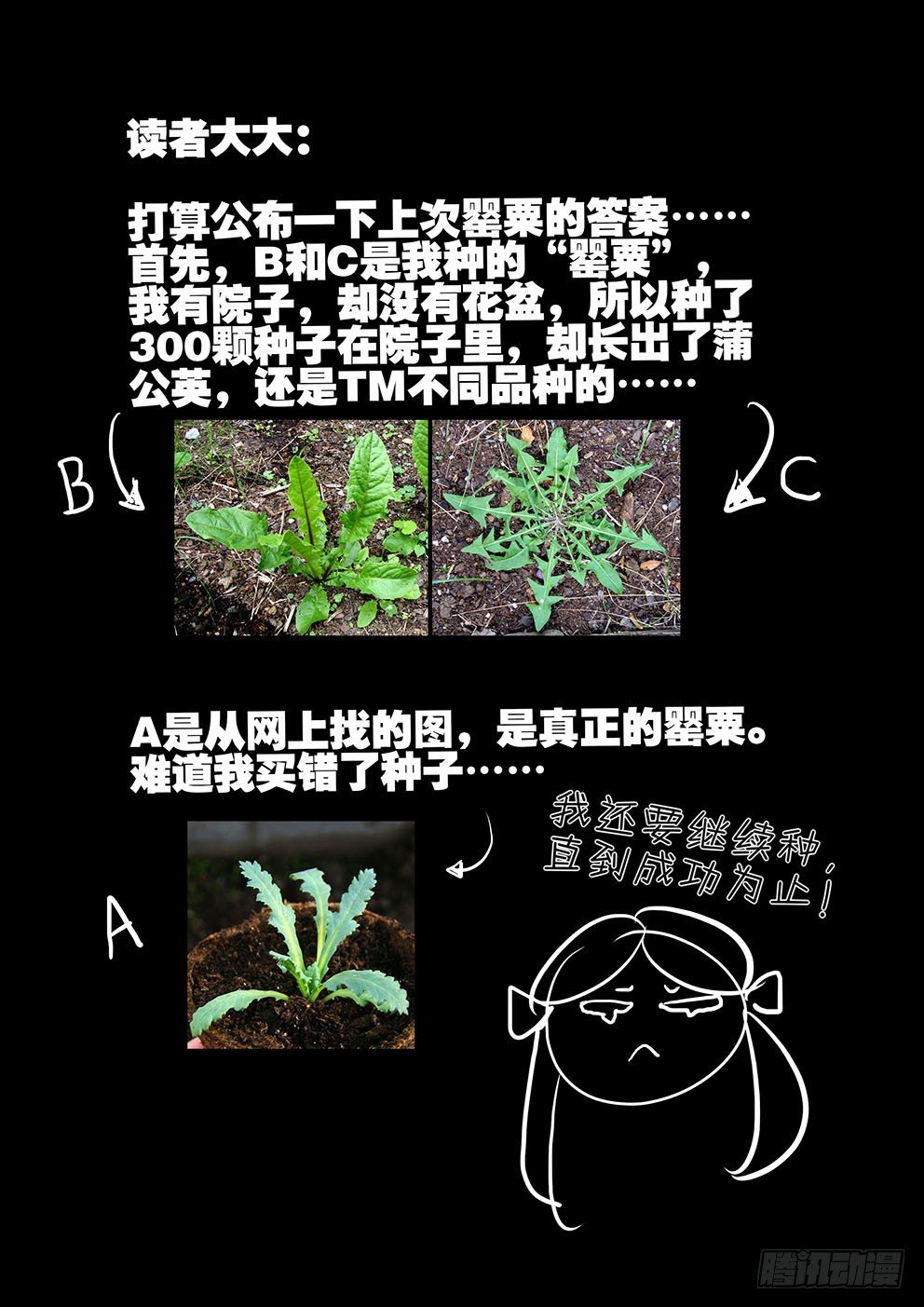 137变故11