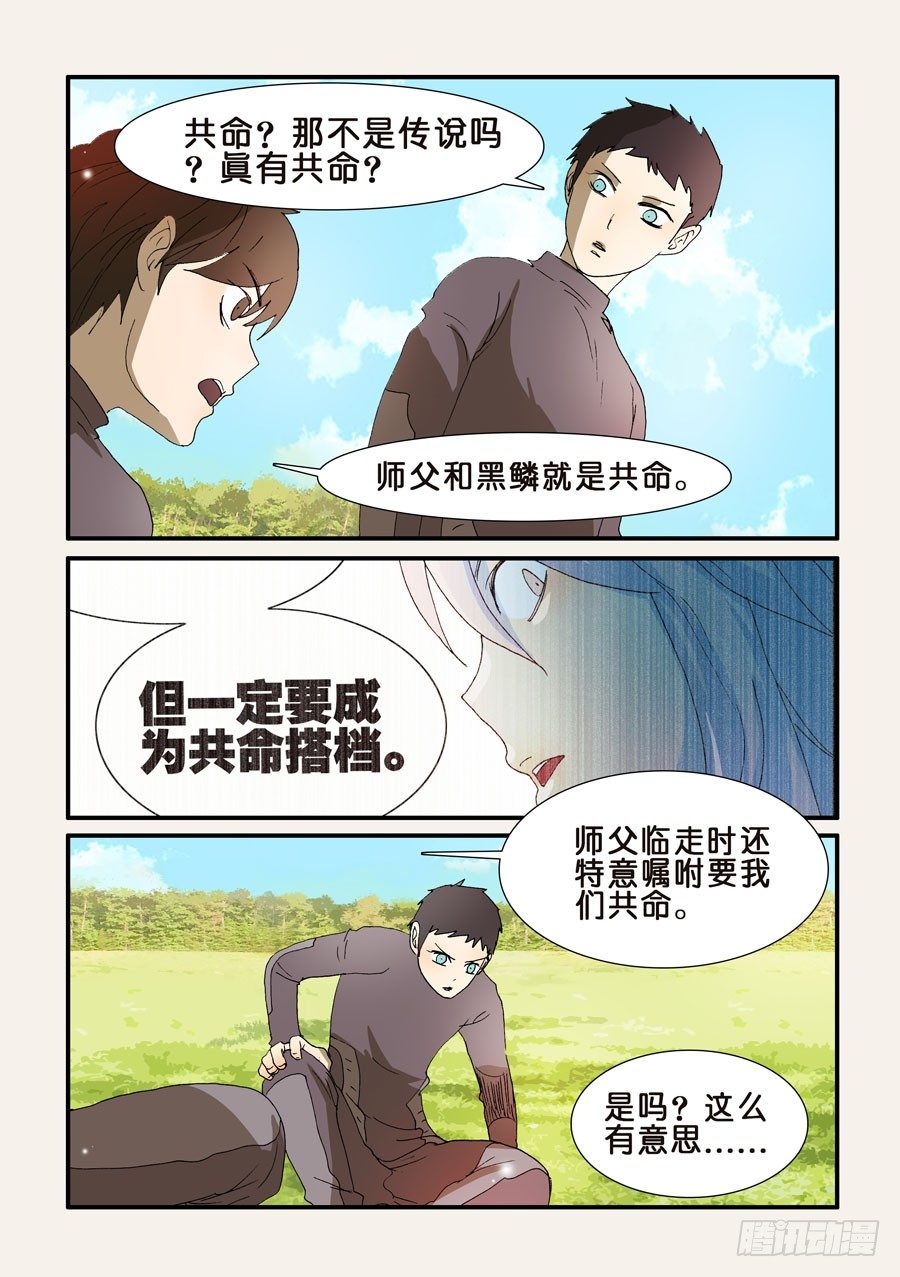 203使用方法4