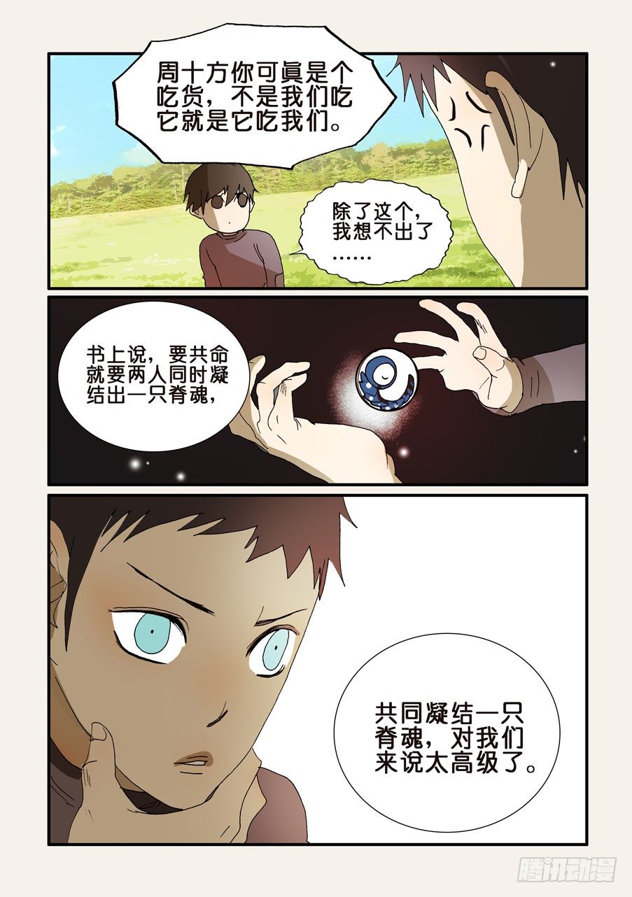 203使用方法8