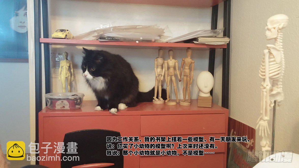 211治愈10