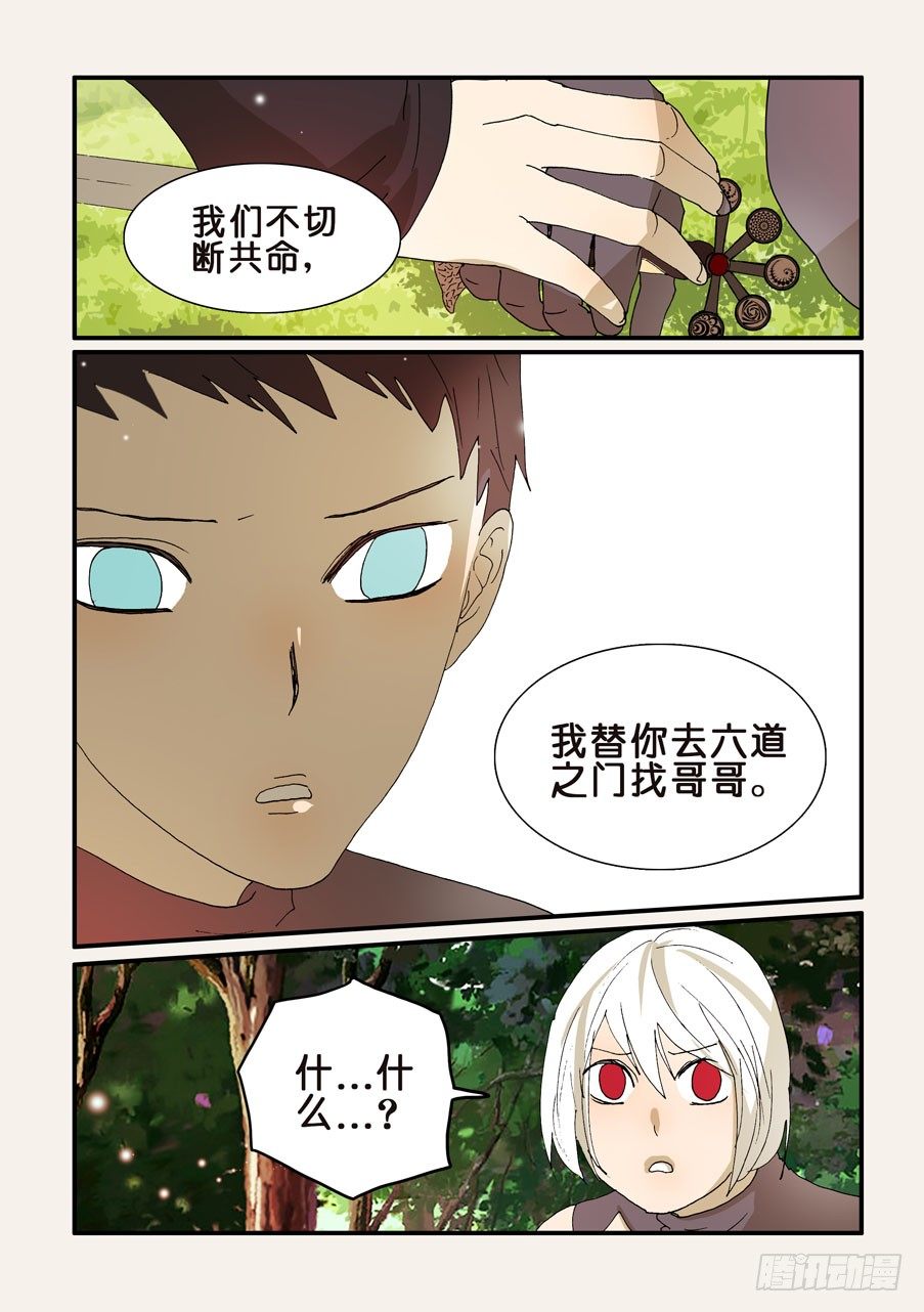 277曼陀罗0