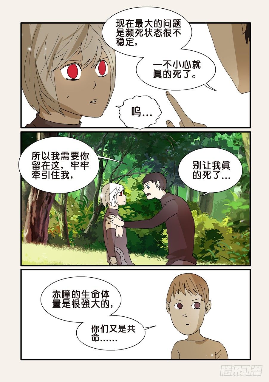 277曼陀罗6