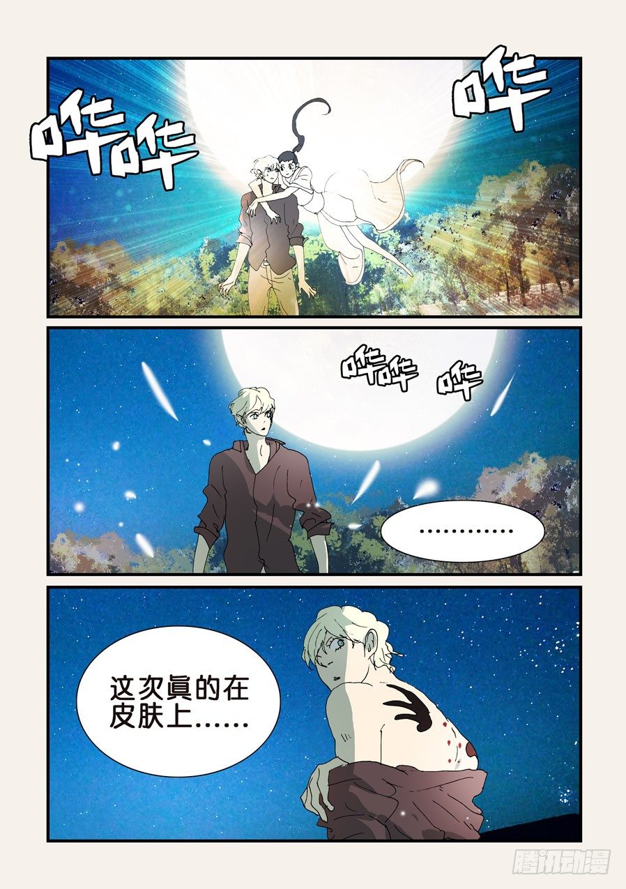 311小破归来5