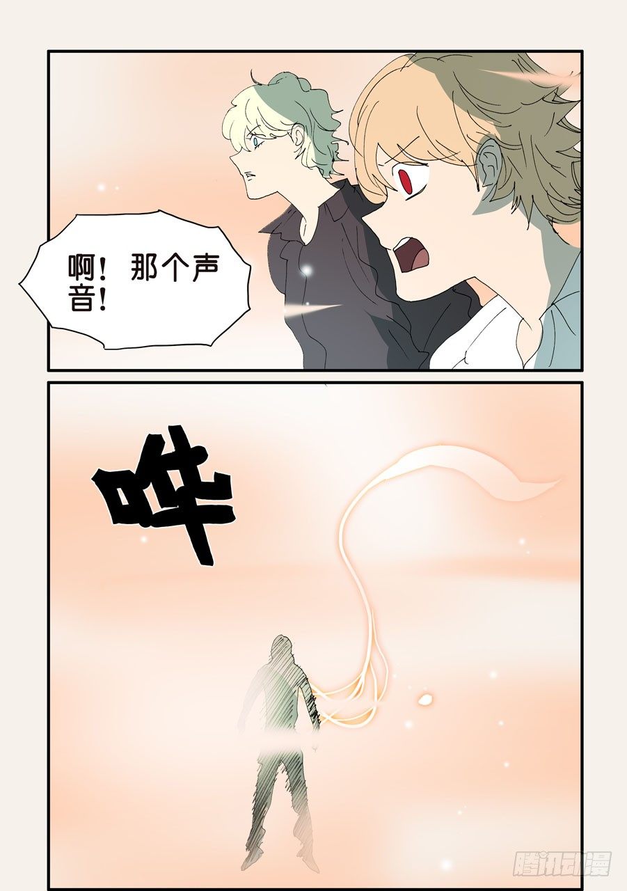 335胜负5