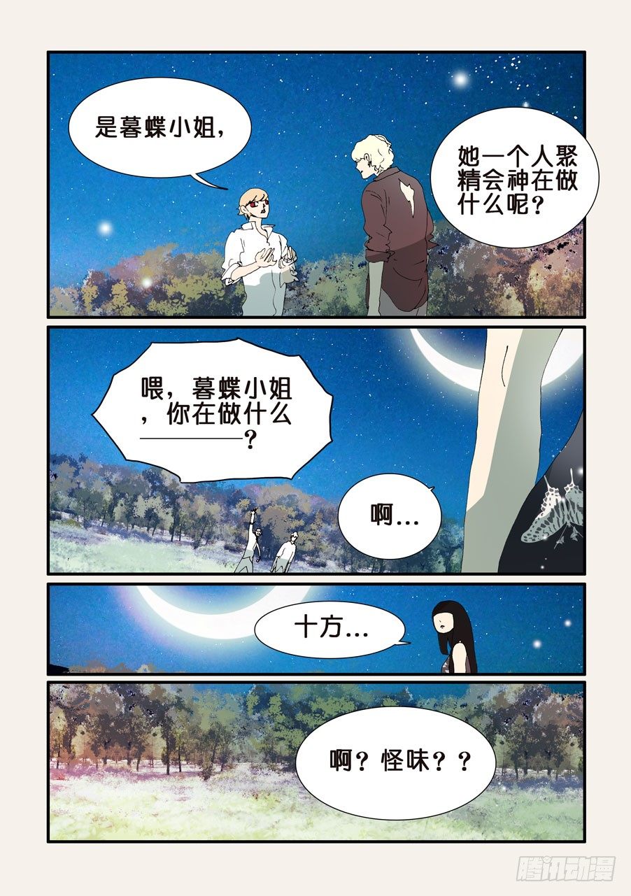 356红蝴蝶1