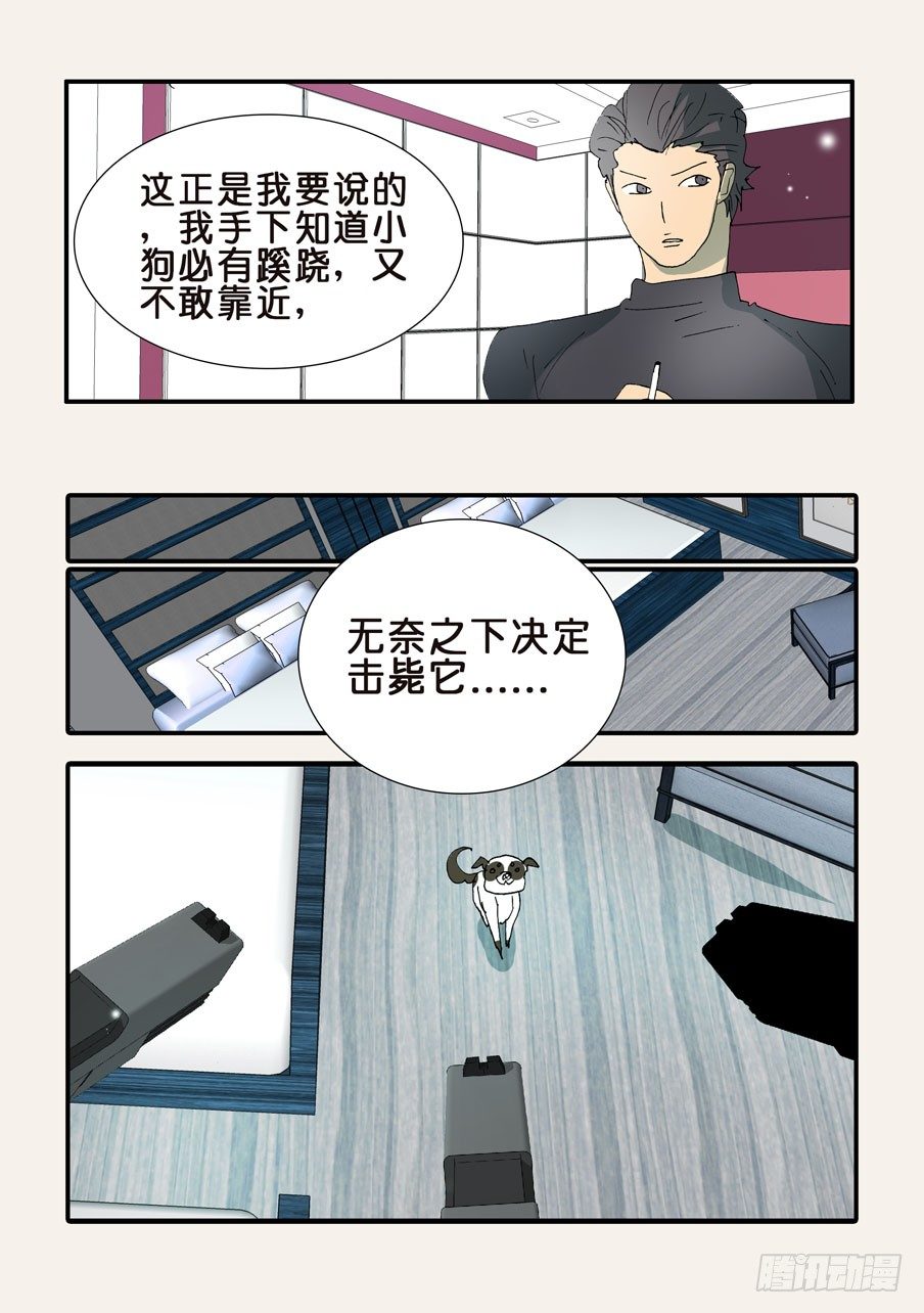 365会死11