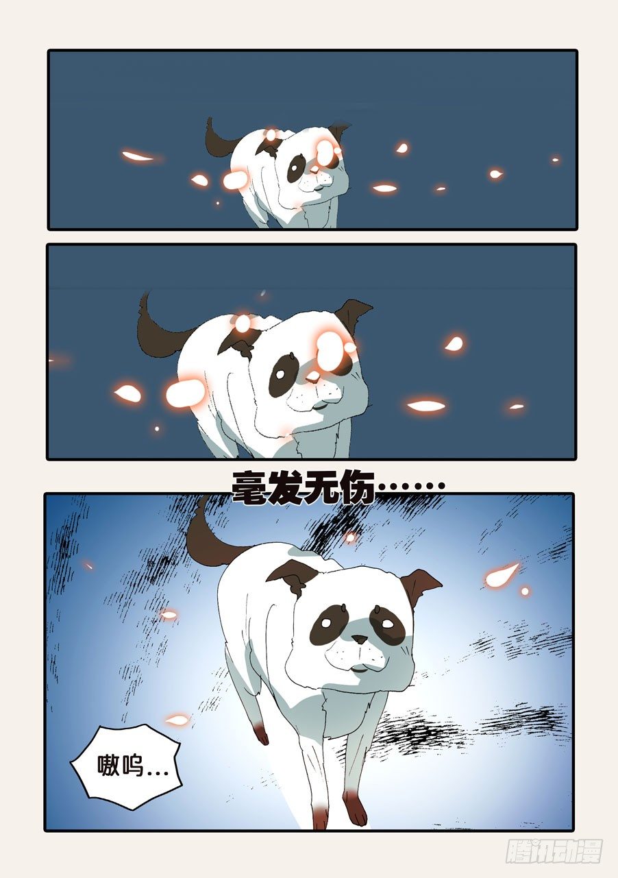 365会死13