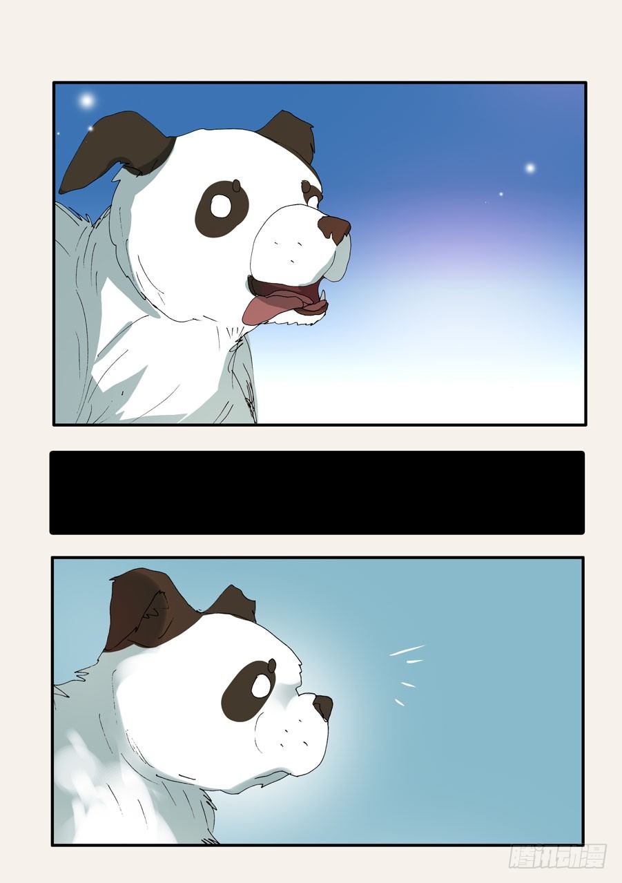 370蝶蛹1