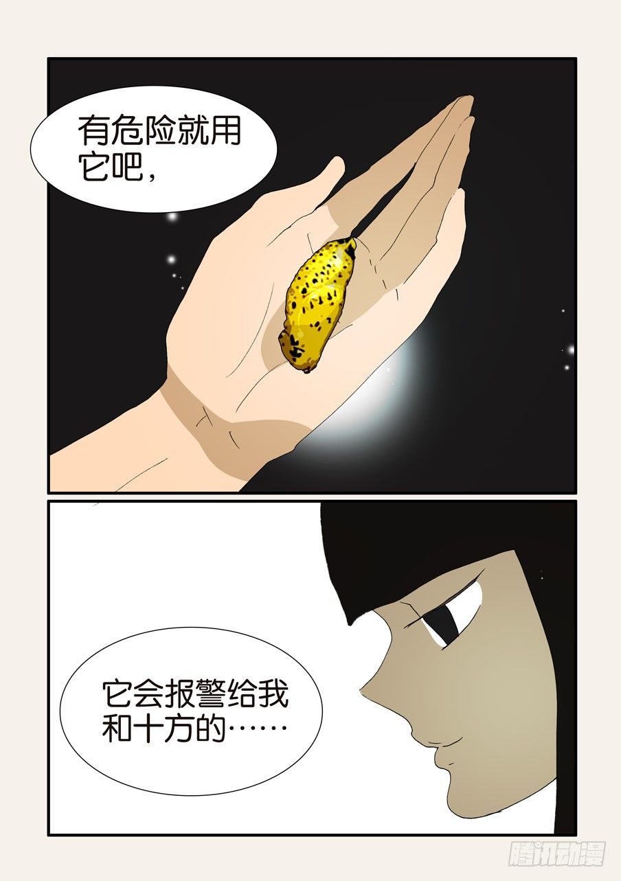 370蝶蛹14