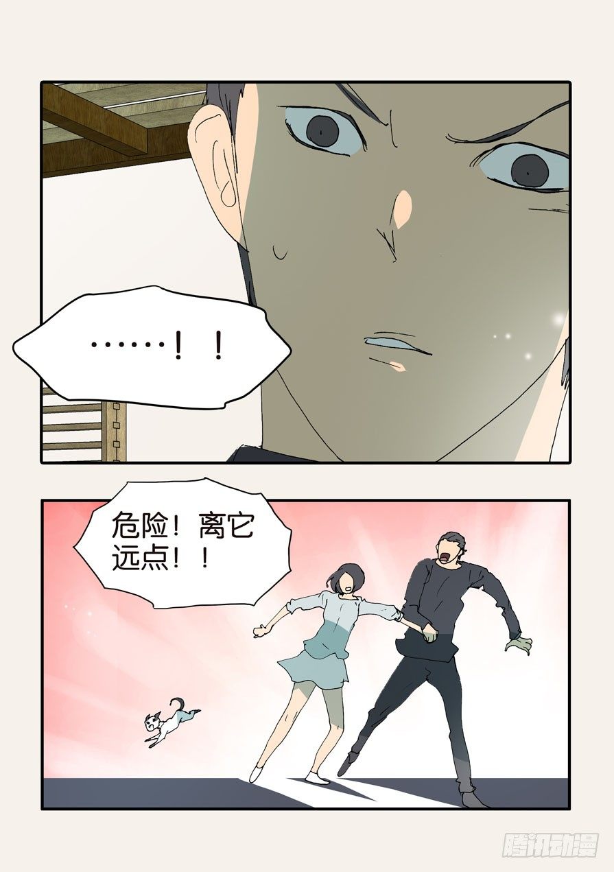 370蝶蛹25