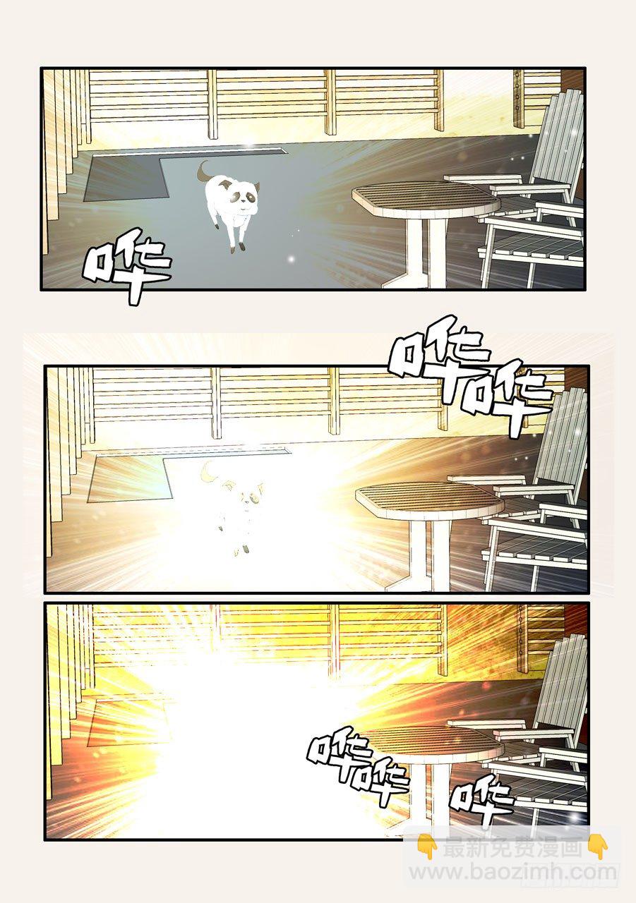 370蝶蛹27