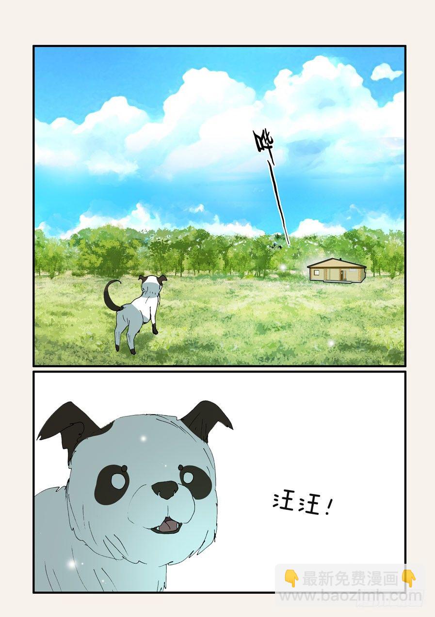 370蝶蛹5