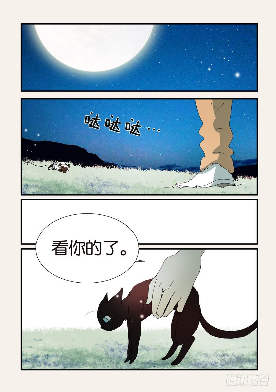 375结晶的碰撞15