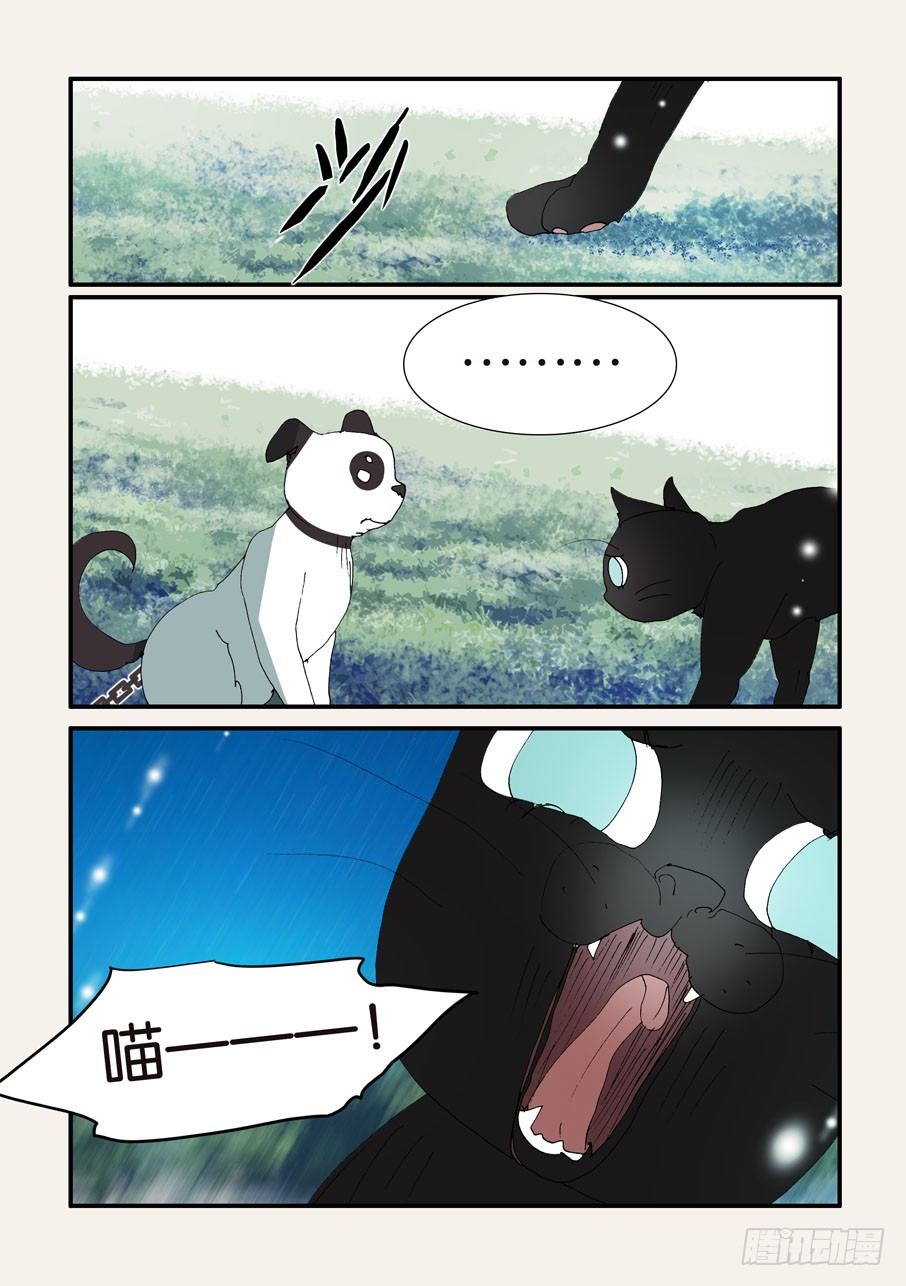 375结晶的碰撞16