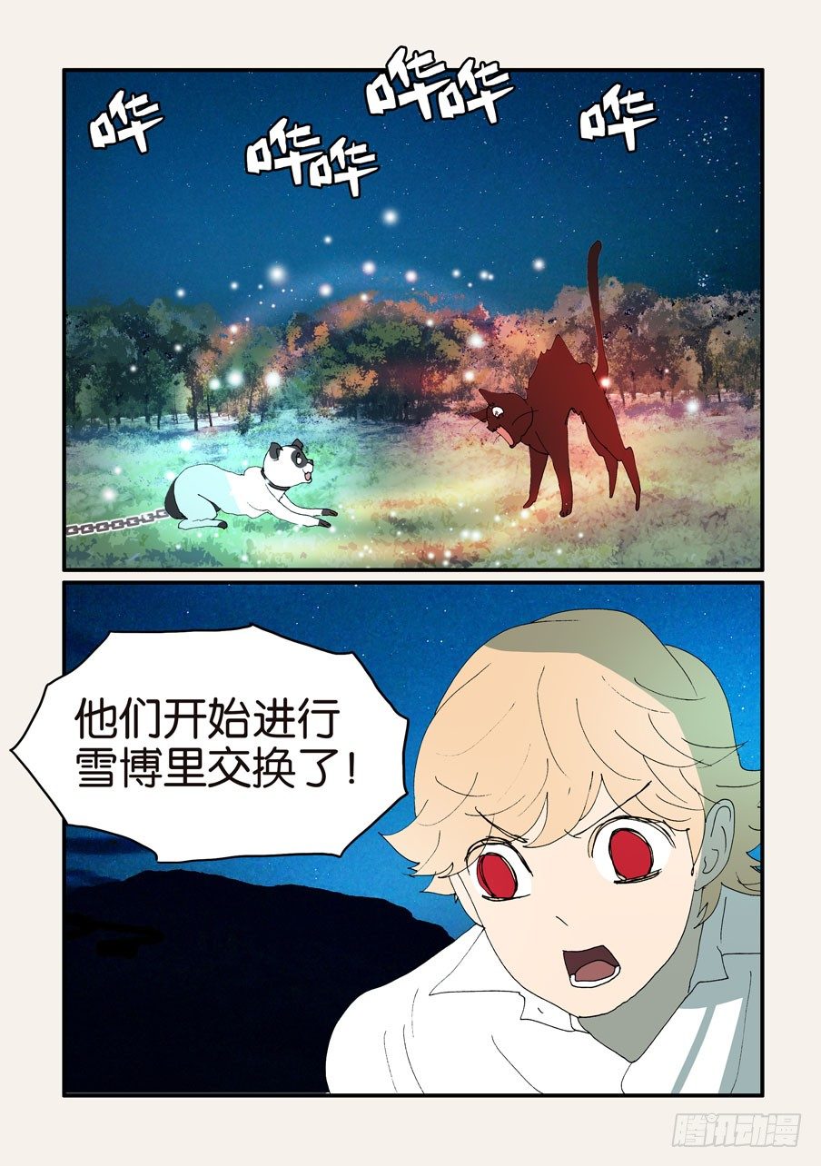 375结晶的碰撞19