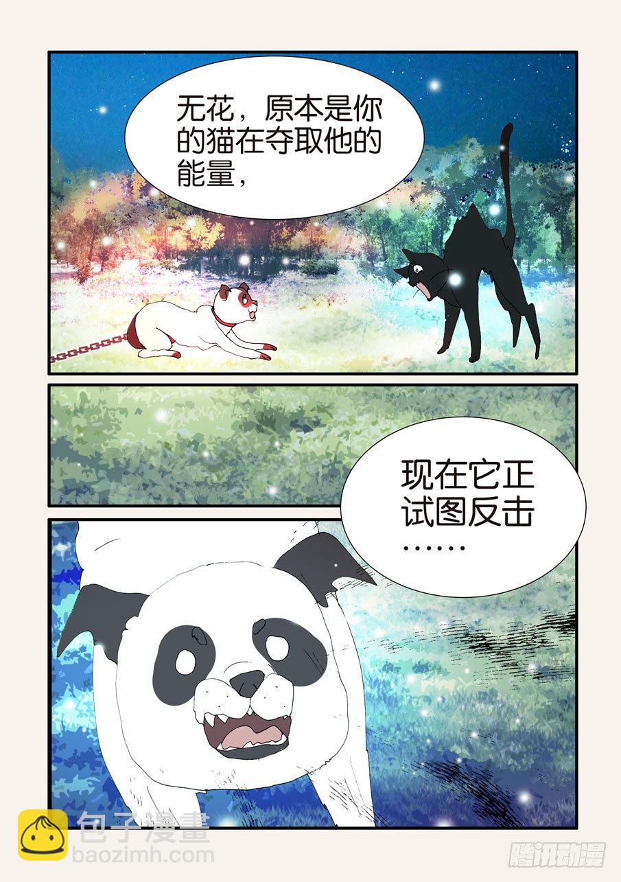 375结晶的碰撞25