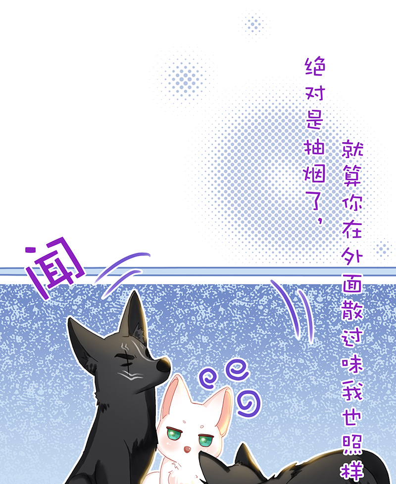 [第20话] 不开窍啊19