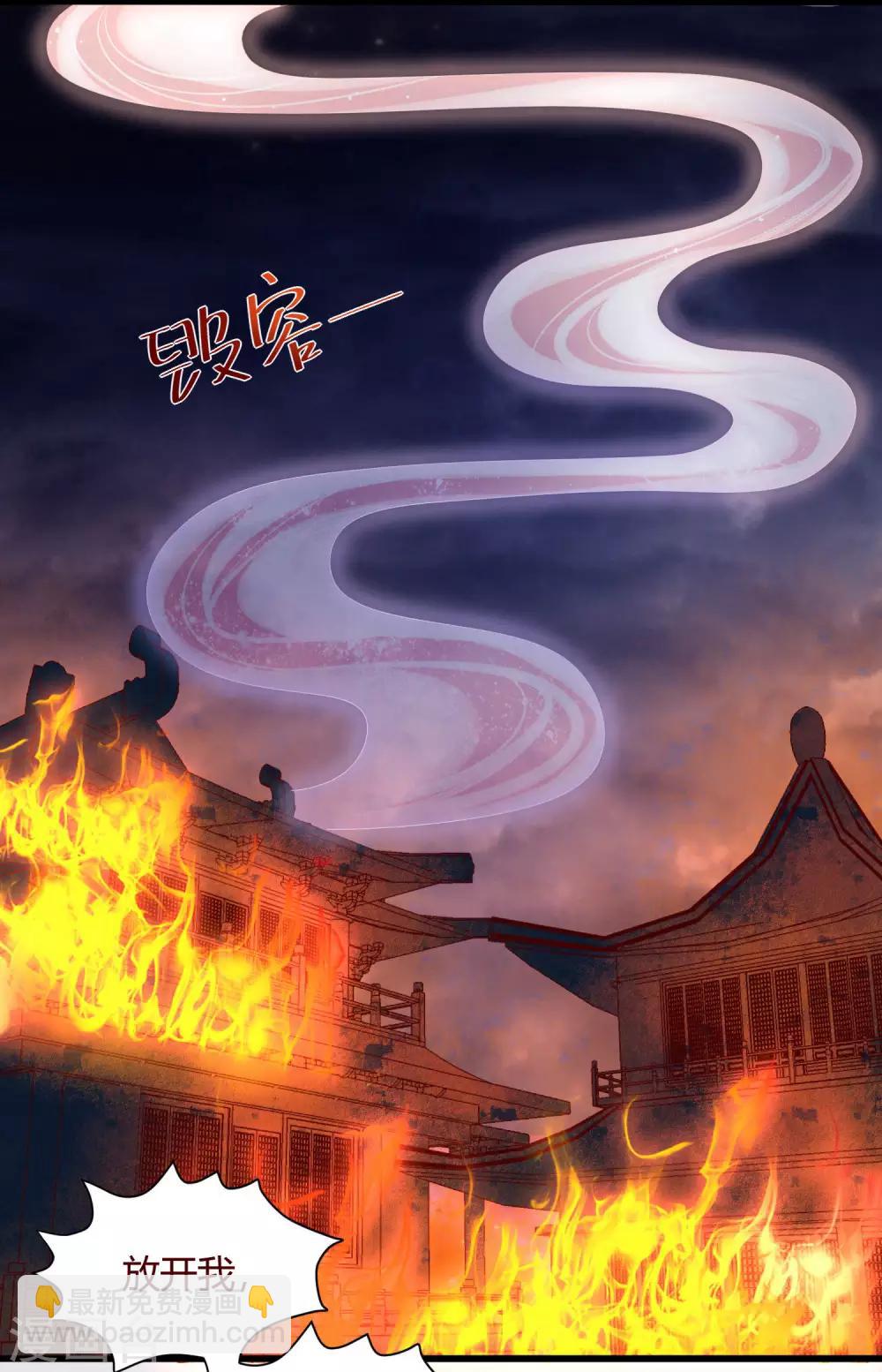 第1话 毁容王妃遭唾弃7