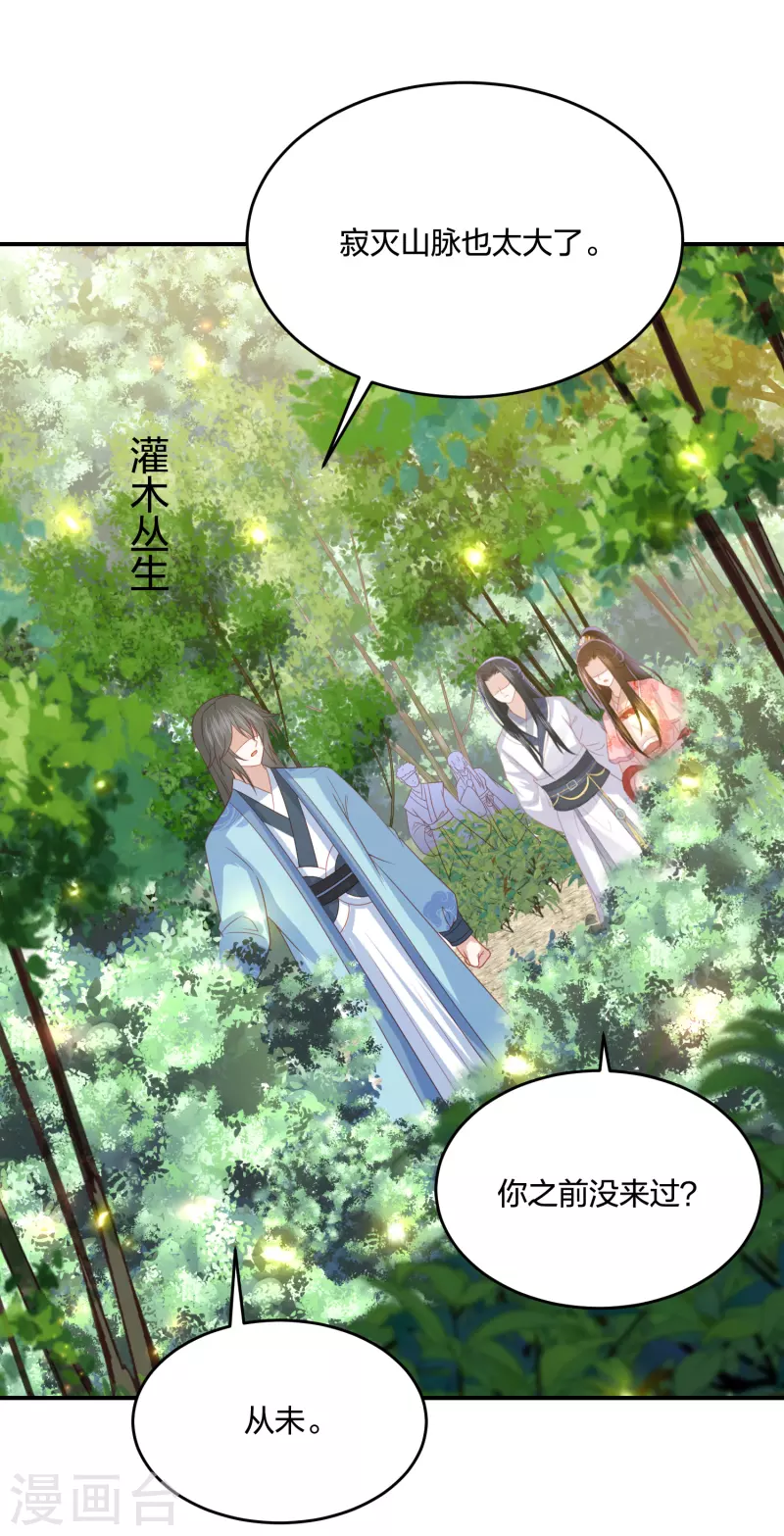第203话 寂灭山脉28