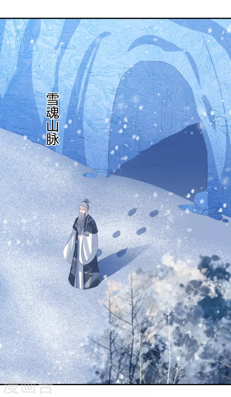 第217话 雪魂山脉29