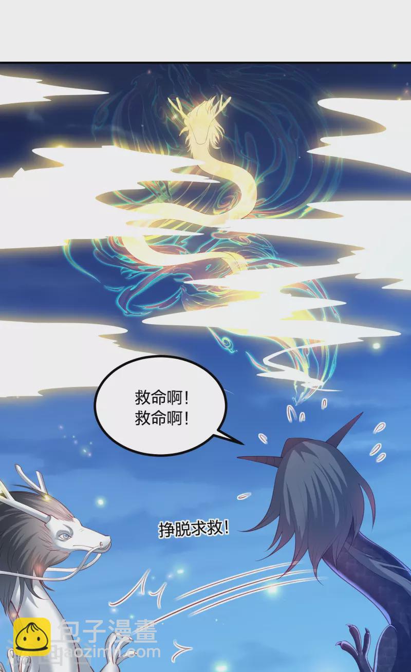 第247话 群龙大会17
