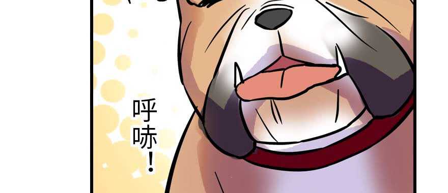 第196话 岳国新君的求婚20