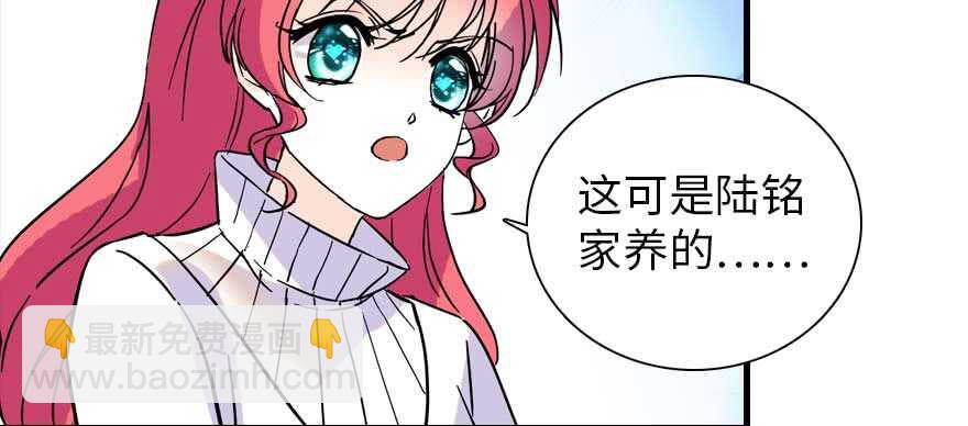 第196话 岳国新君的求婚6
