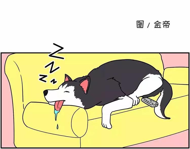 自己养的宝贝，哭着也要宠完0
