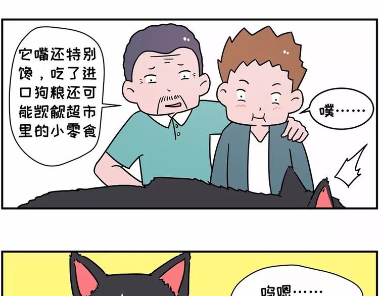 自己养的宝贝，哭着也要宠完10