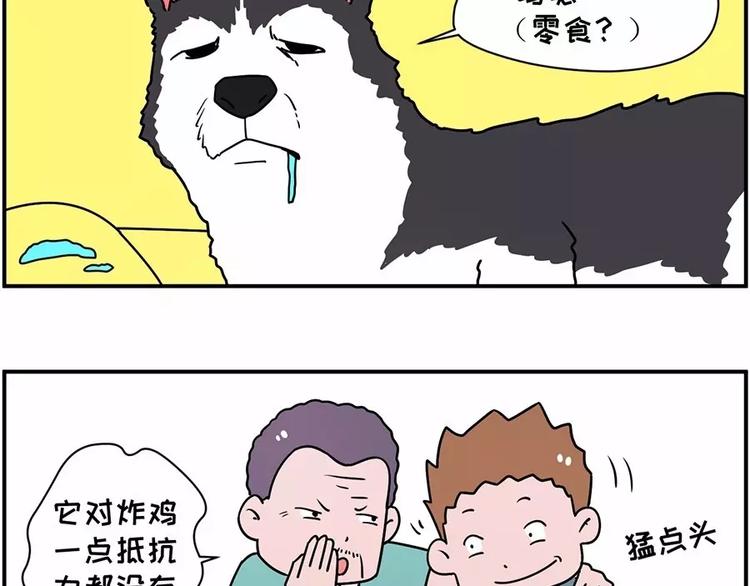自己养的宝贝，哭着也要宠完11