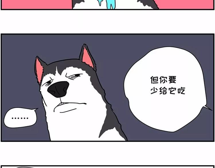 自己养的宝贝，哭着也要宠完13
