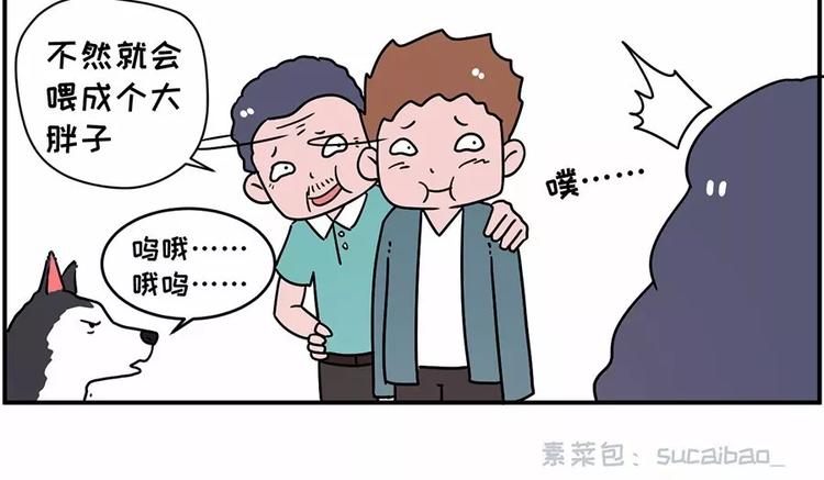自己养的宝贝，哭着也要宠完14