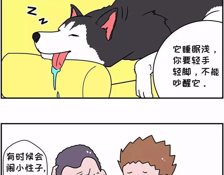 自己养的宝贝，哭着也要宠完2